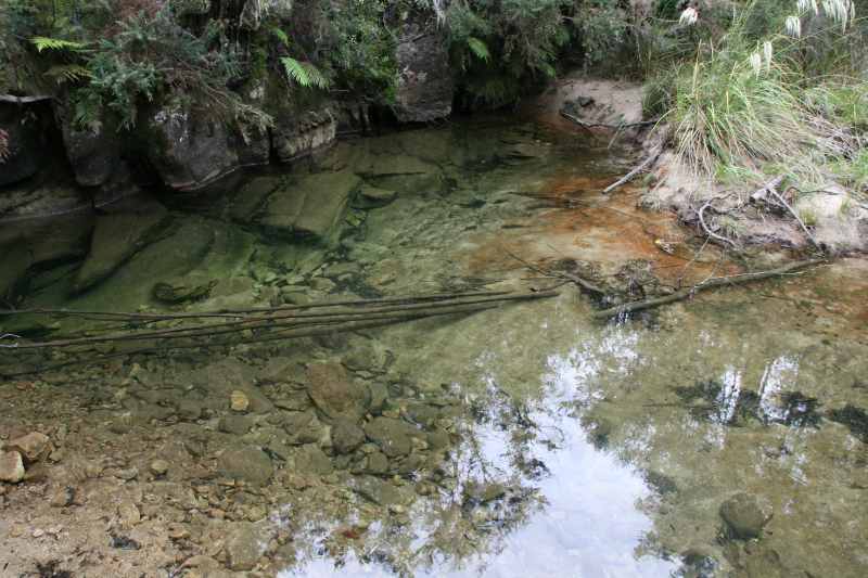 Nieuw-Zeeland 2011 - 1044